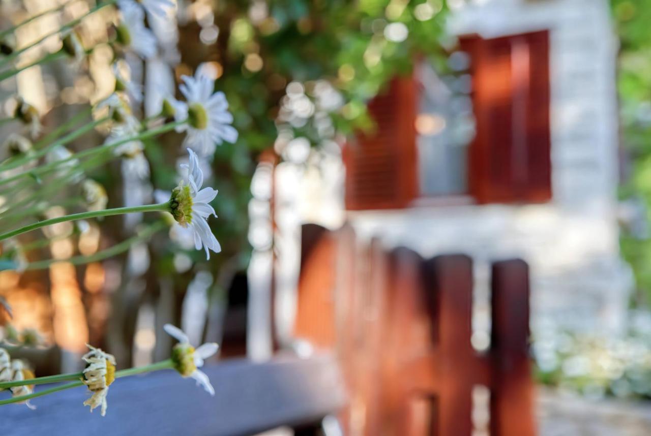 Holiday Home Giardino Marino ポメル エクステリア 写真
