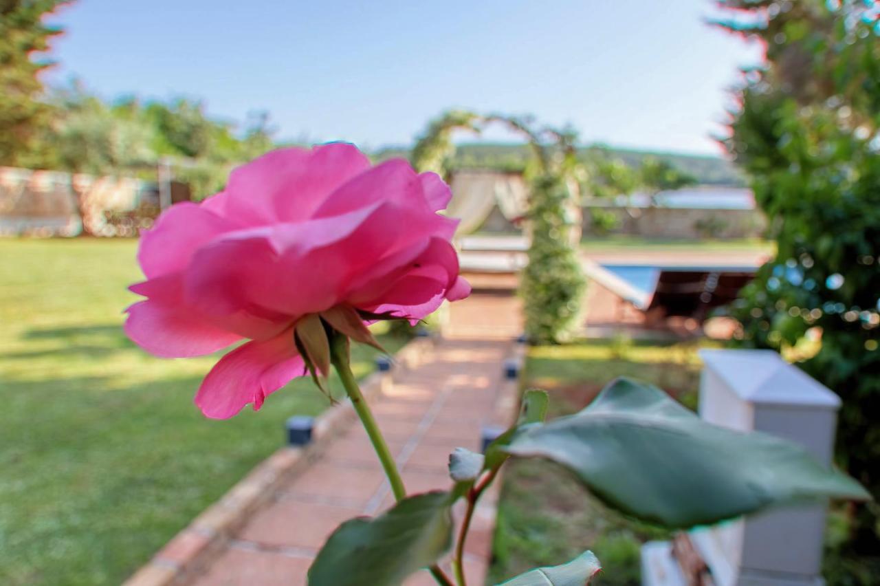 Holiday Home Giardino Marino ポメル エクステリア 写真