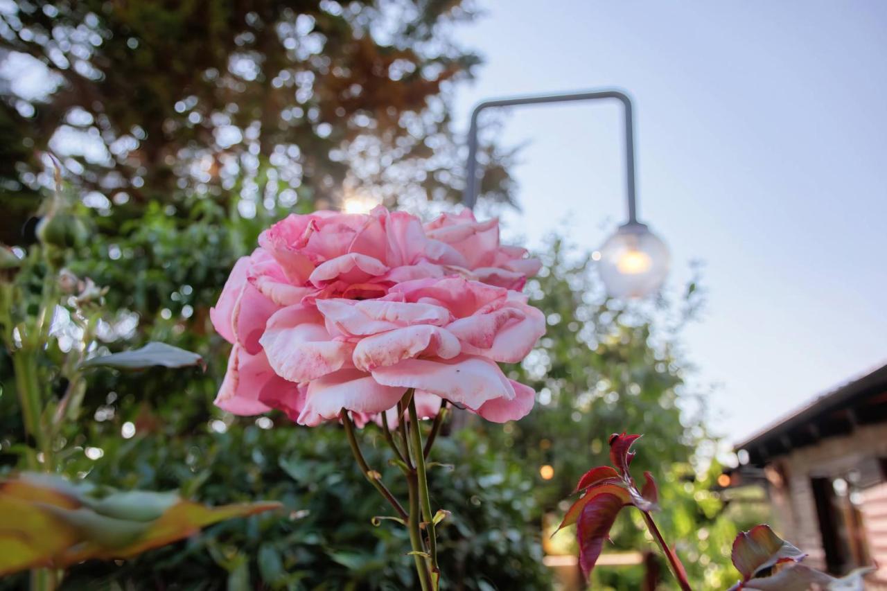 Holiday Home Giardino Marino ポメル エクステリア 写真